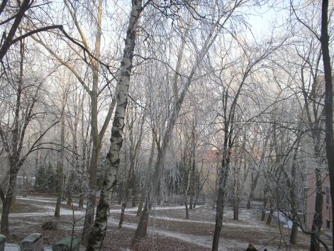 zuzmara_2009-01-18_006.jpg